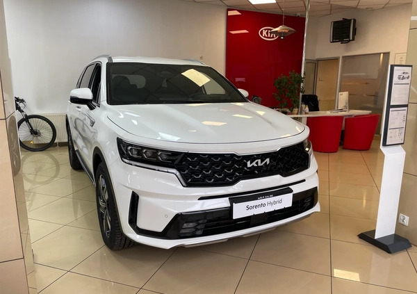 Kia Sorento cena 235490 przebieg: 6, rok produkcji 2023 z Prabuty małe 46